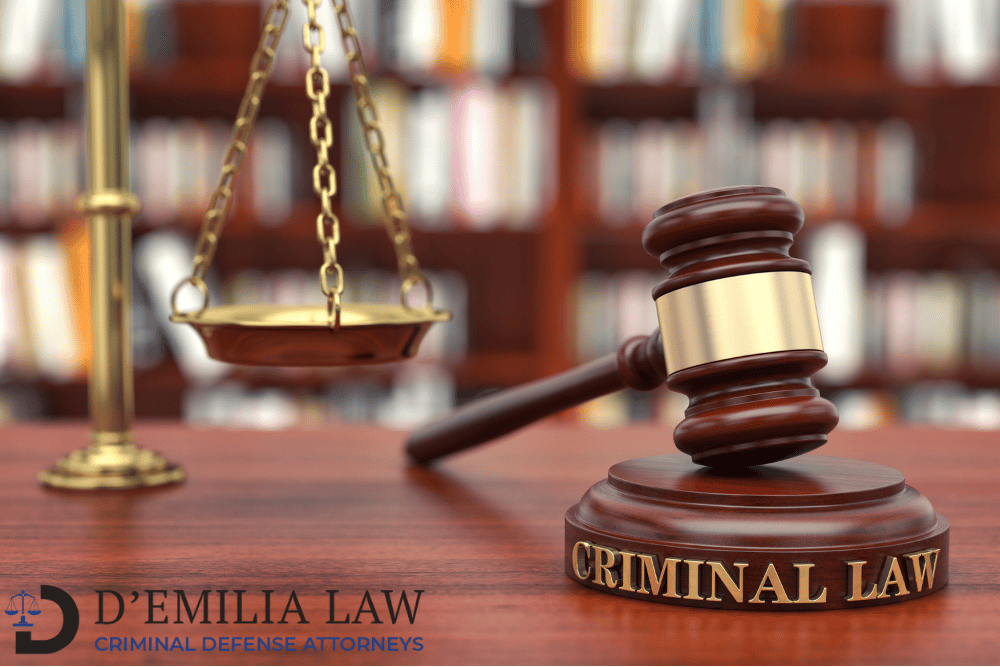 D'Emilia - criminal law