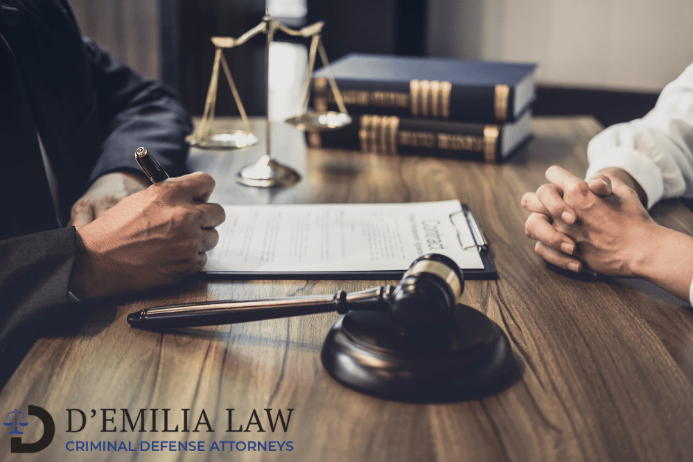 D'Emilia - defense lawyer