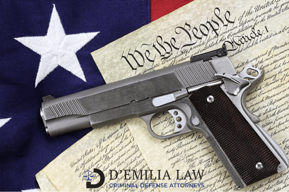 D'Emilia - gun law 3