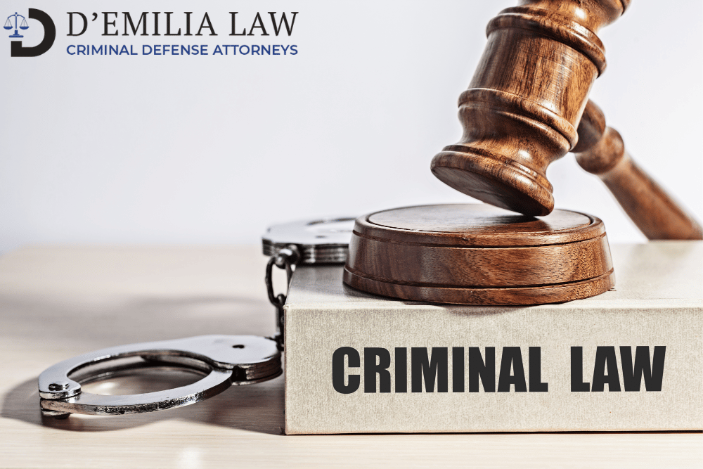D'Emilia - criminal law