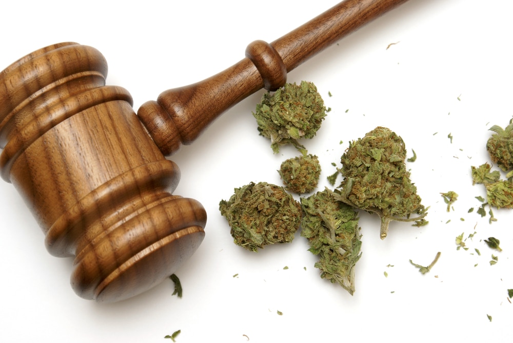 Dispensary owner legal defense